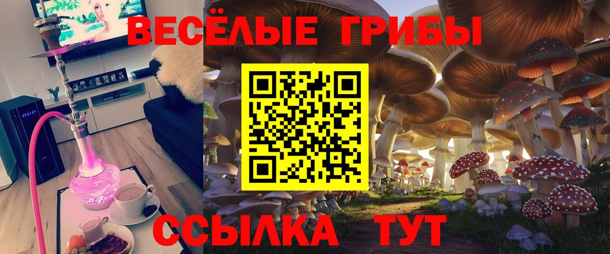 Галлюциногенные грибы Cubensis Улан-Удэ