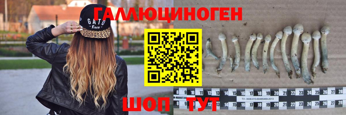 Галлюциногенные грибы ЛСД  Вход с VPN  Улан-Удэ  Галлюциногенные грибы мицелий 